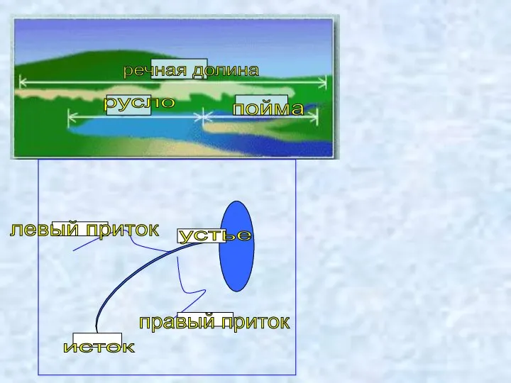 пойма речная долина русло правый приток левый приток устье исток