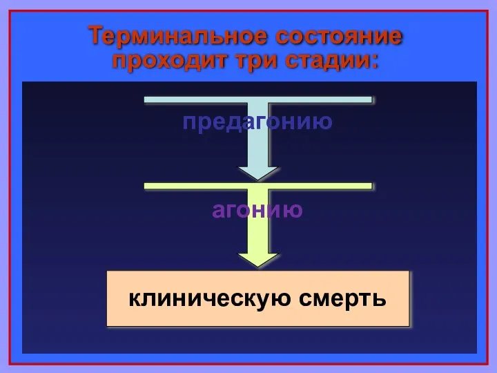 Терминальное состояние проходит три стадии: предагонию агонию клиническую смерть