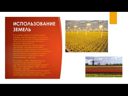 ИСПОЛЬЗОВАНИЕ ЗЕМЕЛЬ В условиях такой густозаселенной страны, как Нидерланды, сельскому хозяйству