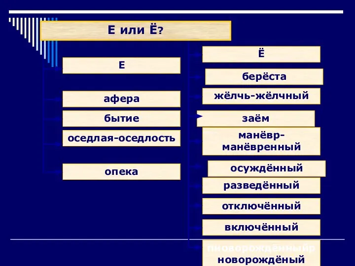 Е или Ё? афера Е Ё бытие оседлая-оседлость опека берёста жёлчь-жёлчный