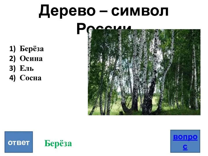 Дерево – символ России вопрос ответ Берёза Осина Ель Сосна Берёза