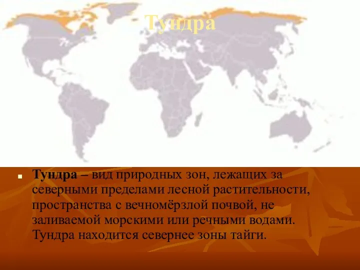 Тундра Тундра – вид природных зон, лежащих за северными пределами лесной