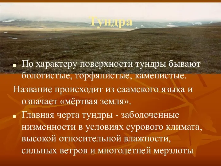 Тундра По характеру поверхности тундры бывают болотистые, торфянистые, каменистые. Название происходит