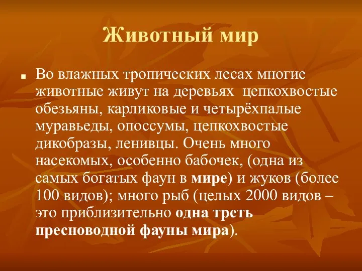 Животный мир Во влажных тропических лесах многие животные живут на деревьях