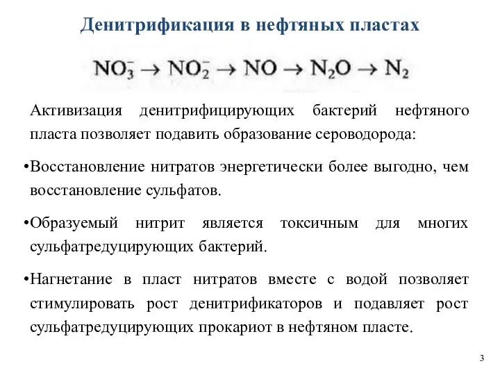 Денитрификация в нефтяных пластах Активизация денитрифицирующих бактерий нефтяного пласта позволяет подавить