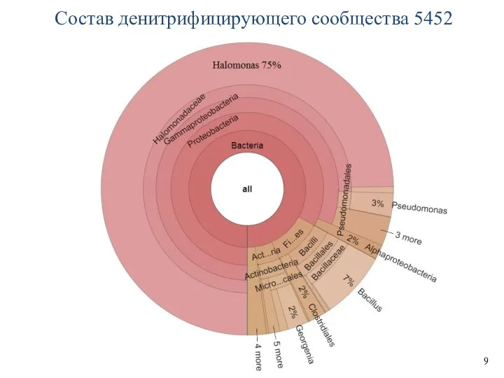 9 Состав денитрифицирующего сообщества 5452