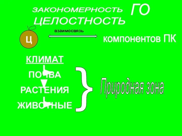 компонентов ПК КЛИМАТ ПОЧВА РАСТЕНИЯ ЖИВОТНЫЕ } Природная зона