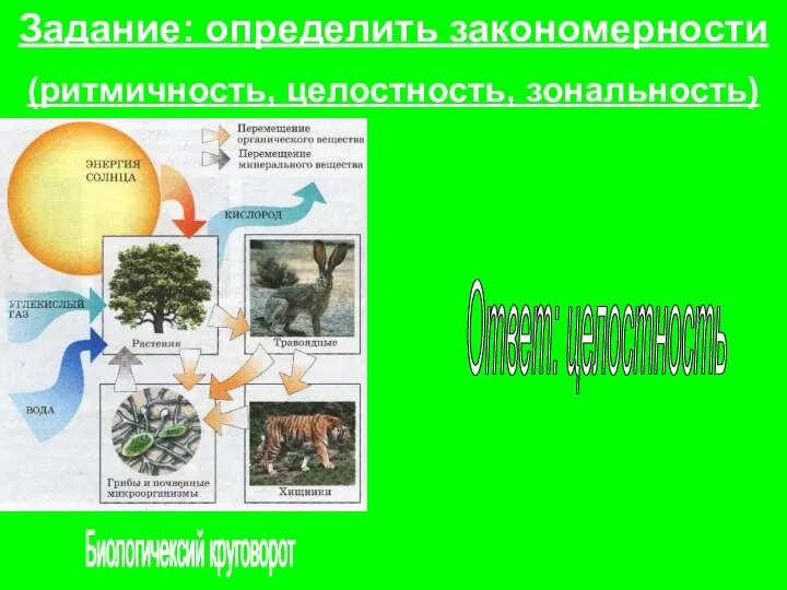 Задание: определить закономерности (ритмичность, целостность, зональность) Ответ: целостность Биологичексий круговорот