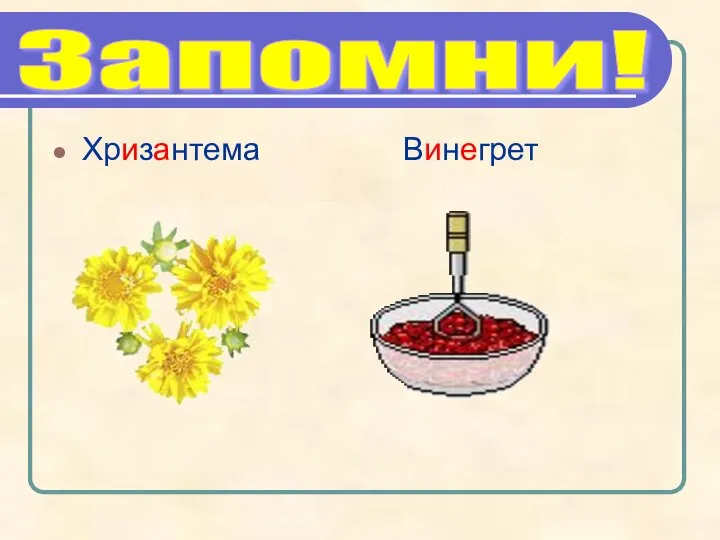 Хризантема Винегрет Запомни!