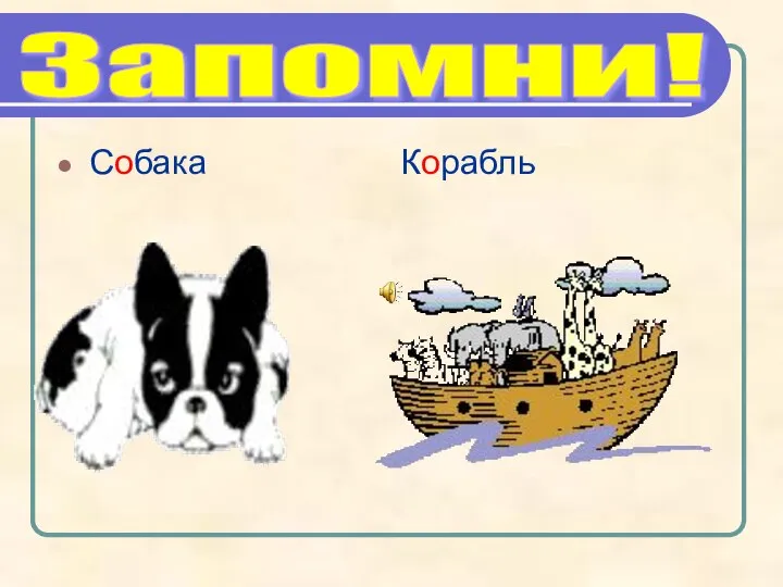 Собака Корабль Запомни!