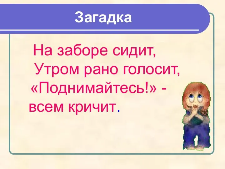 На заборе сидит, Утром рано голосит, «Поднимайтесь!» - всем кричит. Загадка