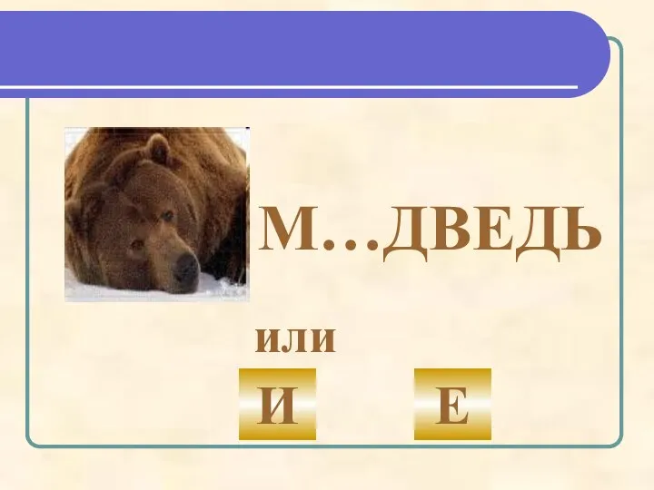 М…ДВЕДЬ или И Е