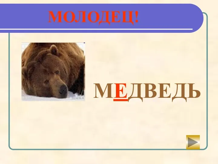 МЕДВЕДЬ МОЛОДЕЦ!