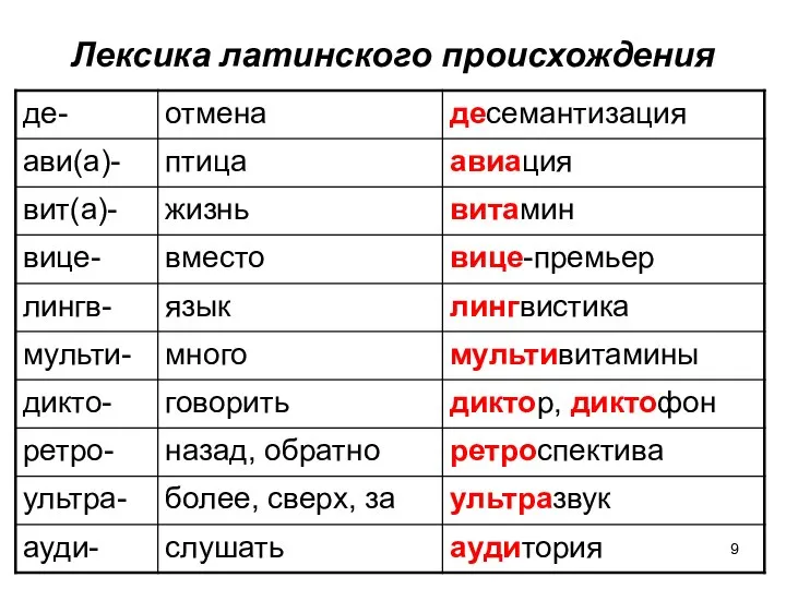 Лексика латинского происхождения