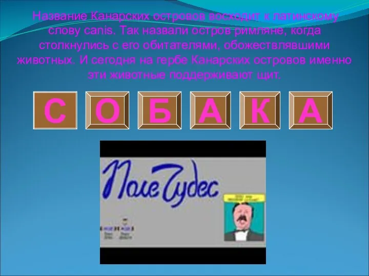 О С Б К А А Название Канарских островов восходит к