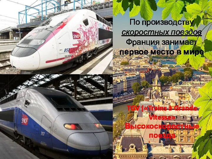 По производству скоростных поездов Франция занимает первое место в мире TGV