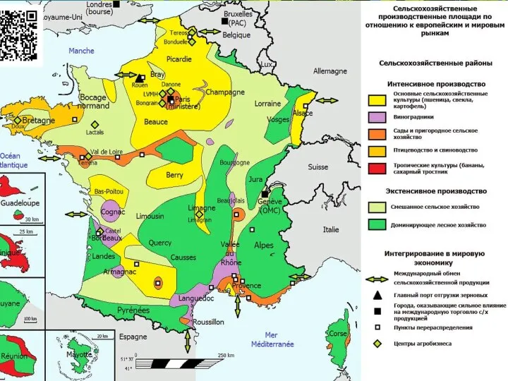 Франция – ведущая сельскохозяйственная страна в ЕС Она имеет самую большую