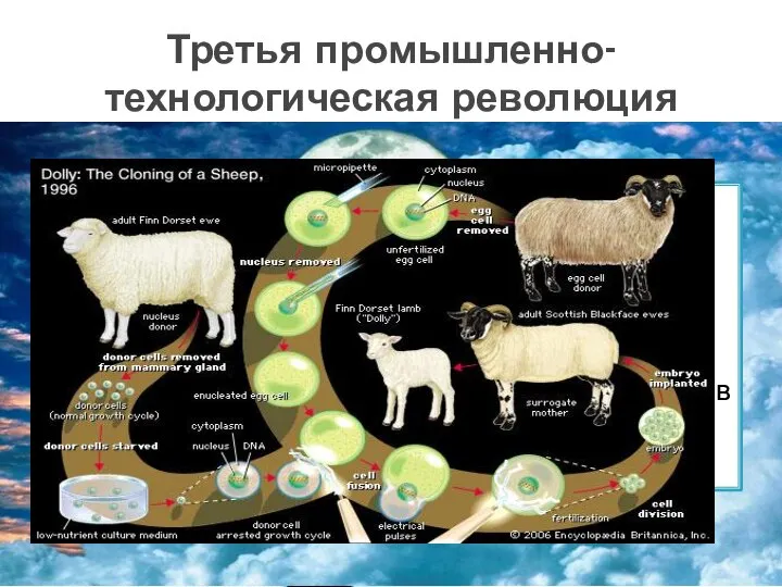 Биотехнология – продовольствие, которое не подвержено воздействию вредных насекомых и болезней.