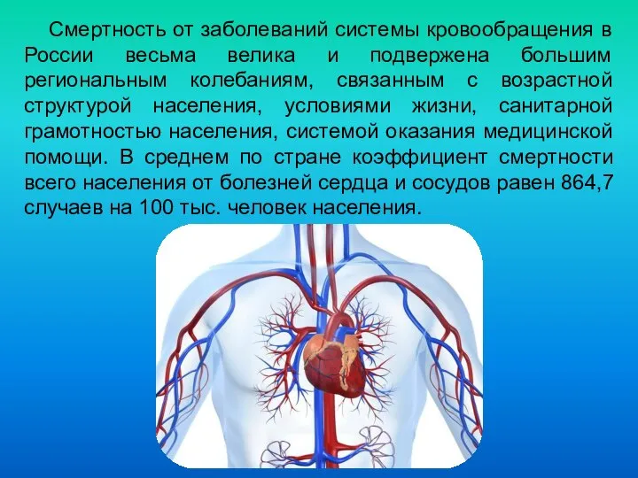 Смертность от заболеваний системы кровообращения в России весьма велика и подвержена