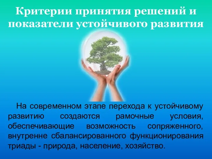 Критерии принятия решений и показатели устойчивого развития На современном этапе перехода