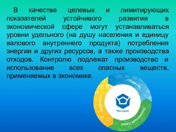 В качестве целевых и лимитирующих показателей устойчивого развития в экономической сфере