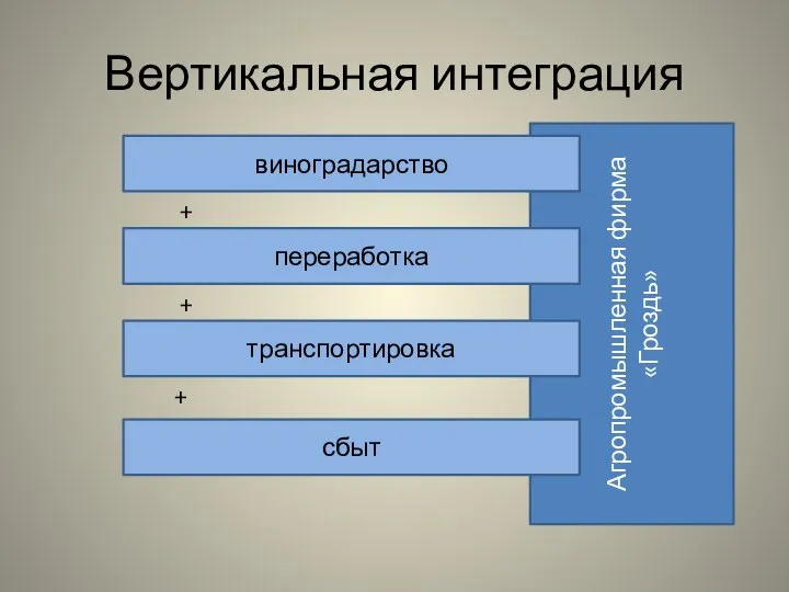 Вертикальная интеграция Агропромышленная фирма «Гроздь» виноградарство переработка транспортировка сбыт + + +