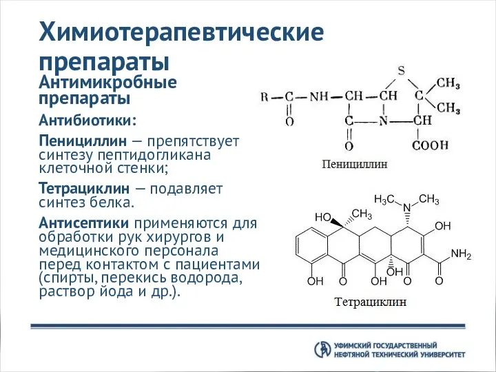 Химиотерапевтические препараты Антимикробные препараты Антибиотики: Пенициллин — препятствует синтезу пептидогликана клеточной