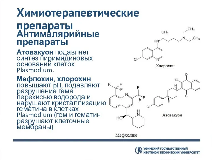 Химиотерапевтические препараты Антималярийные препараты Атовакуон подавляет синтез пиримидиновых оснований клеток Plasmodium.