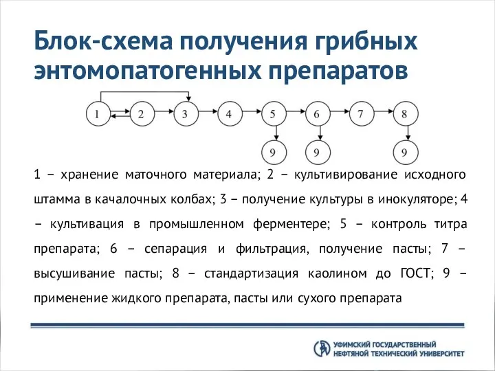 Блок-схема получения грибных энтомопатогенных препаратов 1 – хранение маточного материала; 2