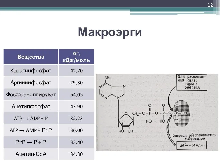 Макроэрги