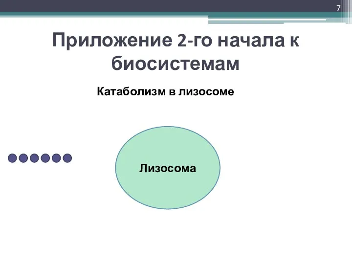 Лизосома Приложение 2-го начала к биосистемам Катаболизм в лизосоме