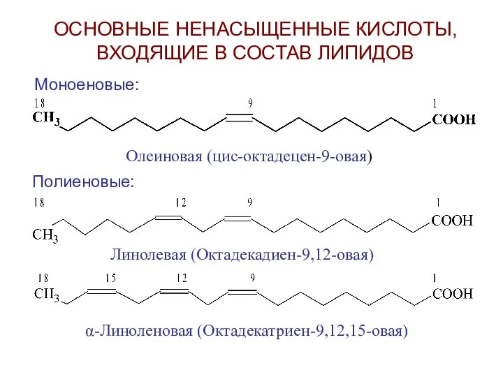 ОСНОВНЫЕ НЕНАСЫЩЕННЫЕ КИСЛОТЫ, ВХОДЯЩИЕ В СОСТАВ ЛИПИДОВ Моноеновые: Олеиновая (цис-октадецен-9-овая) Линолевая (Октадекадиен-9,12-овая) α-Линоленовая (Октадекатриен-9,12,15-овая) Полиеновые: