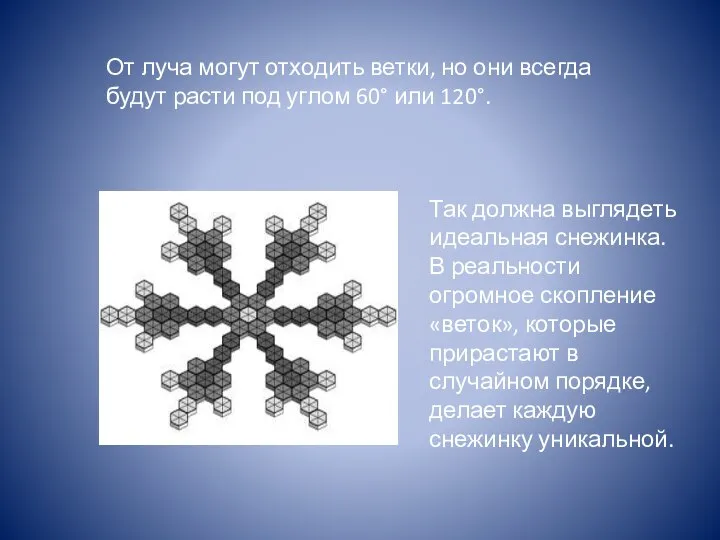 От луча могут отходить ветки, но они всегда будут расти под