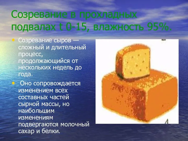 Созревание в прохладных подвалах t 0-15, влажность 95%. Созревание сыров —