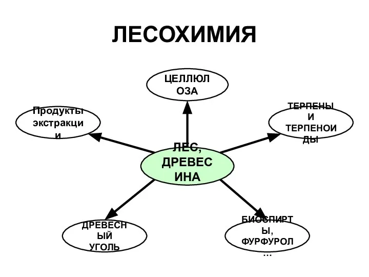 ЛЕСОХИМИЯ ЛЕС, ДРЕВЕСИНА ЦЕЛЛЮЛОЗА Продукты экстракции ТЕРПЕНЫ И ТЕРПЕНОИДЫ ДРЕВЕСНЫЙ УГОЛЬ БИОСПИРТЫ, ФУРФУРОЛ …