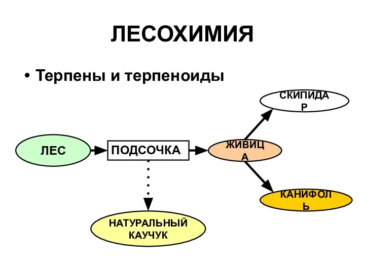 ЛЕСОХИМИЯ Терпены и терпеноиды ЛЕС ЖИВИЦА ПОДСОЧКА СКИПИДАР КАНИФОЛЬ НАТУРАЛЬНЫЙ КАУЧУК