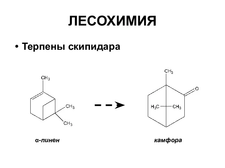 ЛЕСОХИМИЯ Терпены скипидара α-пинен камфора