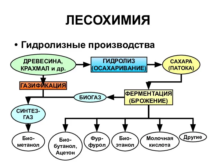 ЛЕСОХИМИЯ Гидролизные производства ДРЕВЕСИНА, КРАХМАЛ и др. ФЕРМЕНТАЦИЯ (БРОЖЕНИЕ) Био- этанол