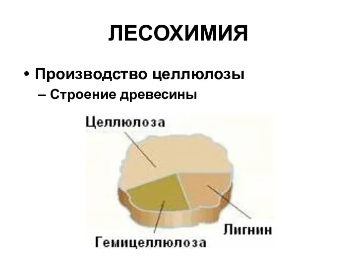 ЛЕСОХИМИЯ Производство целлюлозы Строение древесины