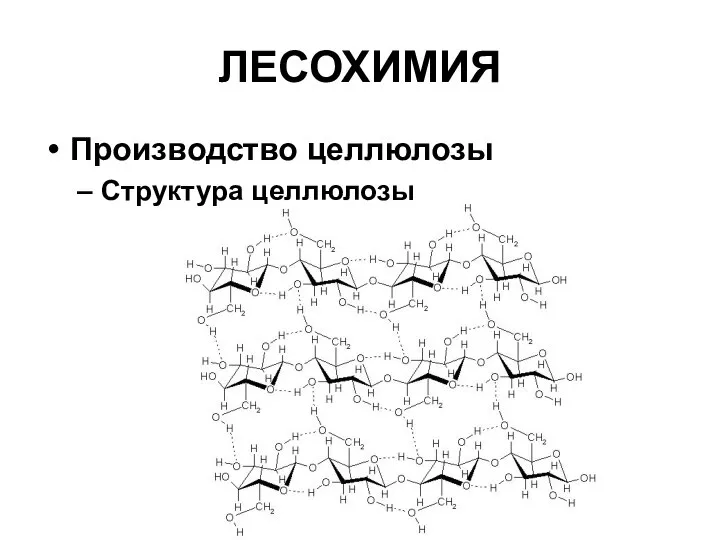 ЛЕСОХИМИЯ Производство целлюлозы Структура целлюлозы