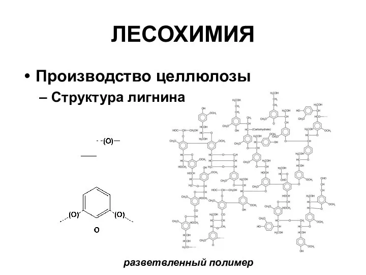 ЛЕСОХИМИЯ Производство целлюлозы Структура лигнина разветвленный полимер