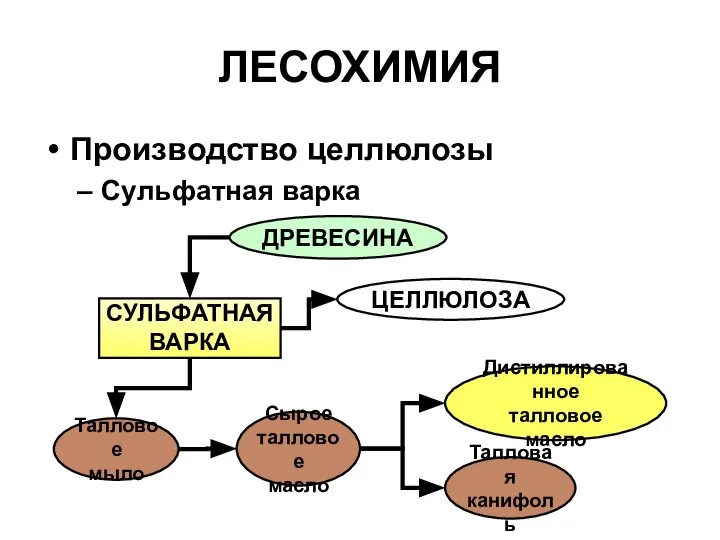 ЛЕСОХИМИЯ Производство целлюлозы Сульфатная варка ДРЕВЕСИНА СУЛЬФАТНАЯ ВАРКА Талловое мыло ЦЕЛЛЮЛОЗА