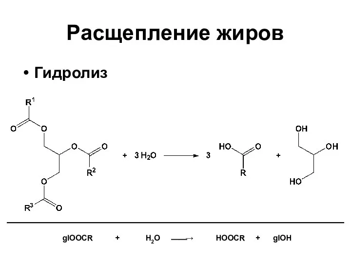 Гидролиз Расщепление жиров glOOCR + H2O ⎯⎯→ HOOCR + glOH