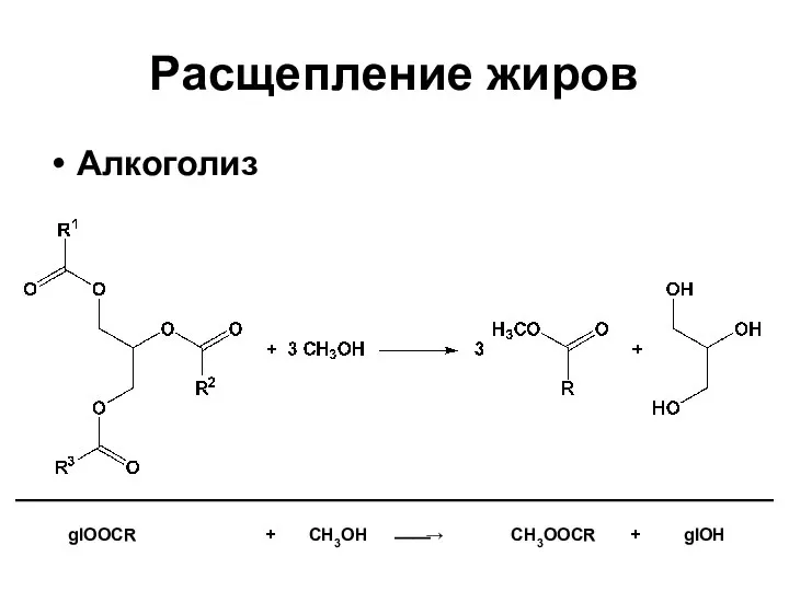 Алкоголиз Расщепление жиров glOOCR + CH3OH ⎯⎯→ CH3OOCR + glOH