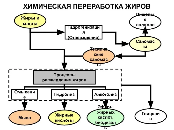 ХИМИЧЕСКАЯ ПЕРЕРАБОТКА ЖИРОВ Гидрогенизация (Отверждение) Жиры и масла Саломасы Пищевые саломасы