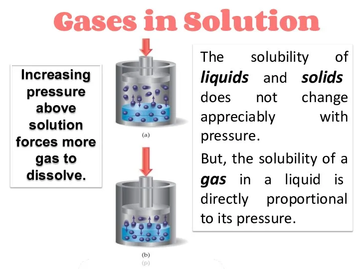 Gases in Solution Increasing pressure above solution forces more gas to