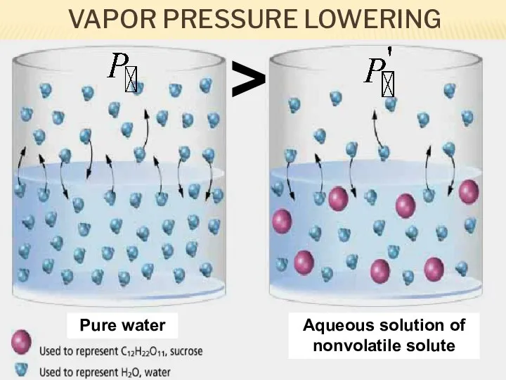 VAPOR PRESSURE LOWERING Pure water Aqueous solution of nonvolatile solute >