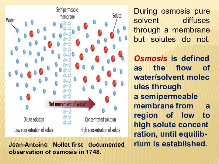 Jean-Antoine Nollet first documented observation of osmosis in 1748. During osmosis