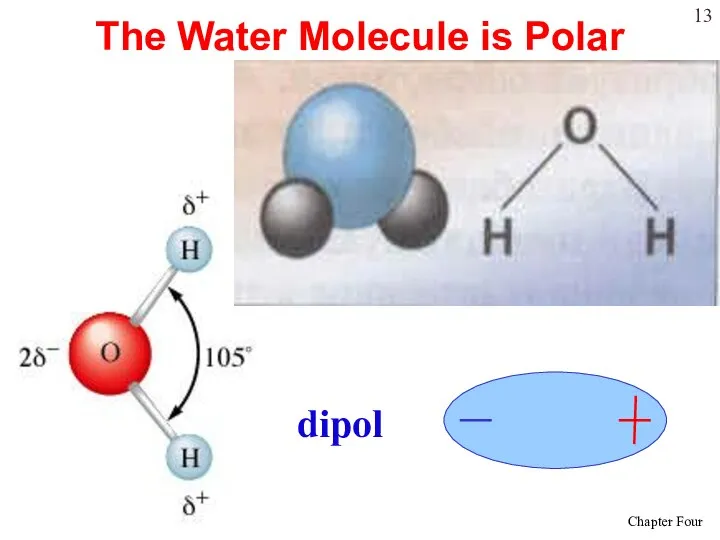 The Water Molecule is Polar dipol