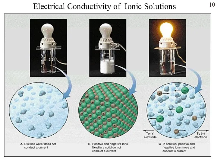 Electrical Conductivity of Ionic Solutions